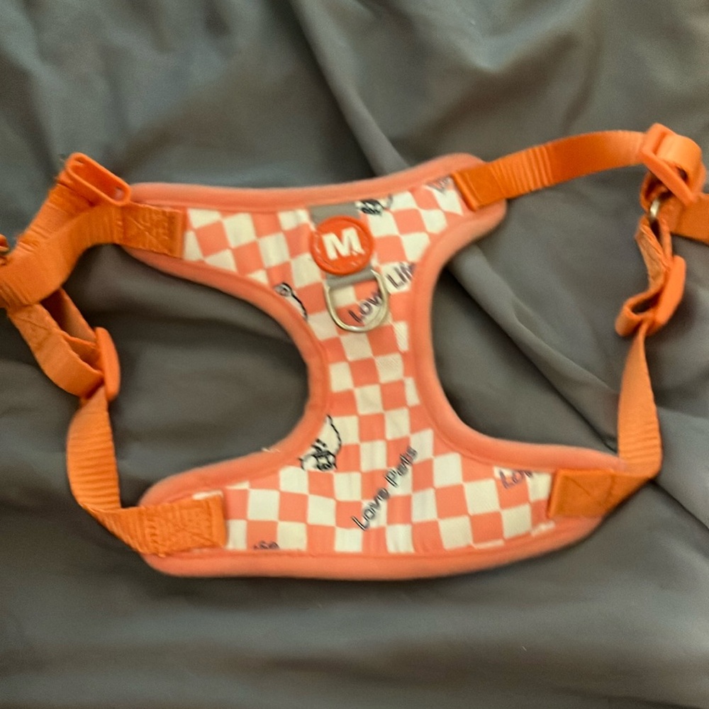 Dog vest